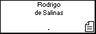 Rodrigo de Salinas