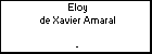 Eloy de Xavier Amaral